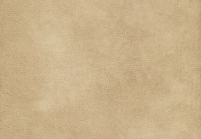 Premium Fabric: Sand (Vinyl)