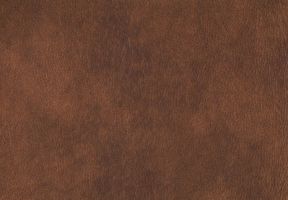 Premium Fabric: Bison (Vinyl)