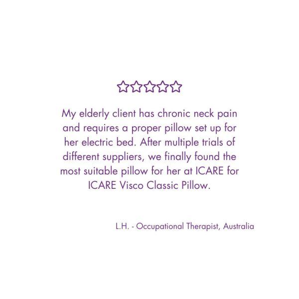 Icare Classic Pillow.