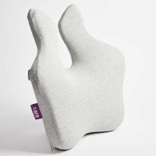 Reform Full Back Support.